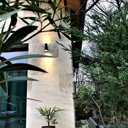 The Jungle : Tiny House & 布瓦西-圣莱热